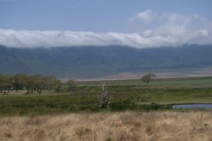 Cráter del Ngorongoro y los 6 grandes de África